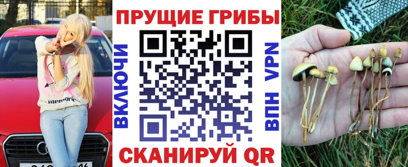 Псилоцибиновые грибы Magic Shrooms  хочу   Заозёрск 